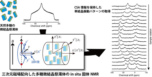 久住亮介： 2019（令和元）年度生存圏科学萌芽研究　図