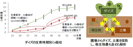 二瓶直登： 2019（令和元）年度生存圏ミッション研究　図