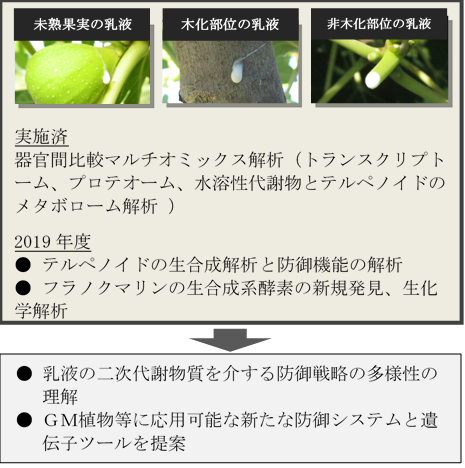 北島佐紀人： 2019（令和元）年度生存圏ミッション研究　図