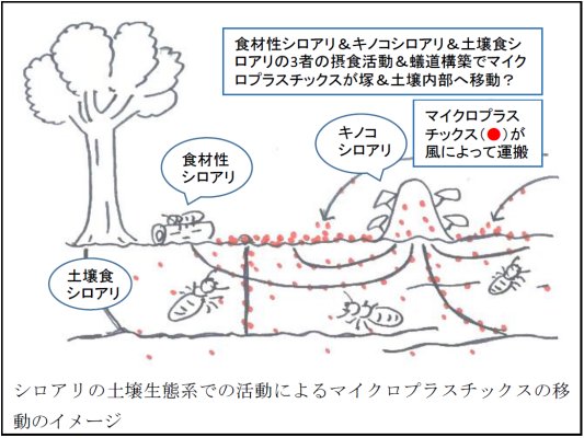 吉村剛： 2019（令和元）年度生存圏ミッション研究　図