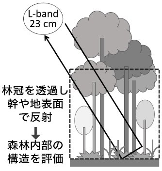 小林祥子： 2020（令和2）年度生存圏ミッション研究　図