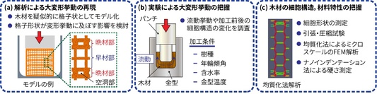 梶川翔平： 2022（令和4）年度生存圏科学共同研究　図