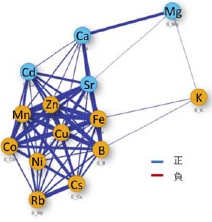 二瓶直登： 2022（令和4）年度生存圏科学共同研究　図3