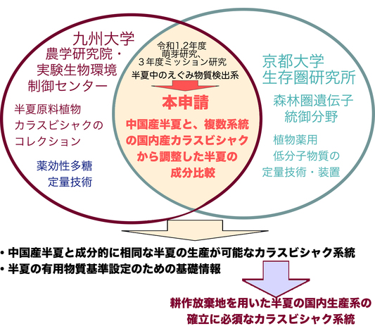 松岡健： 2022（令和4）年度生存圏科学共同研究　図3