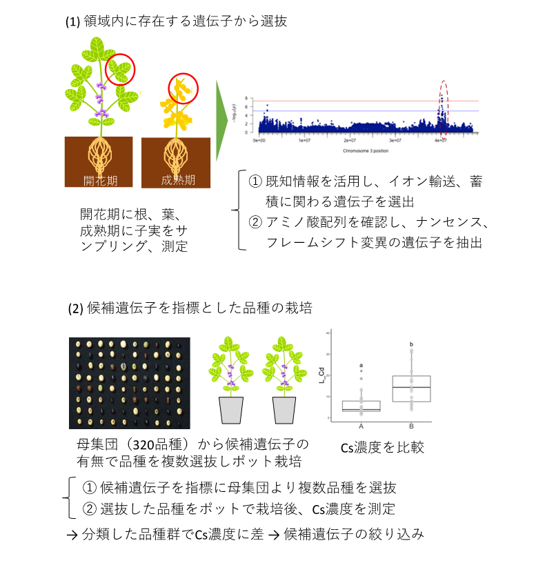 2023年度共同研究#14　図： 2023（令和5）年度生存圏ミッション研究#14　図