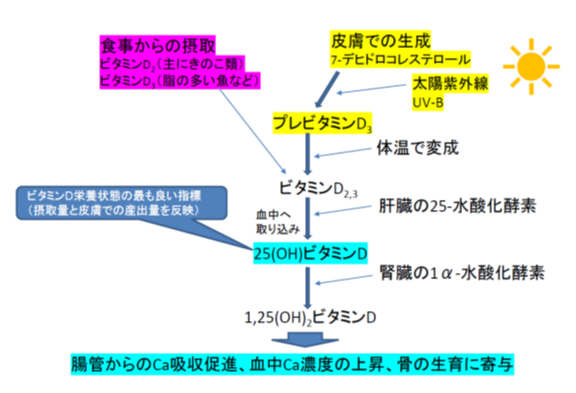 "補足テキスト：