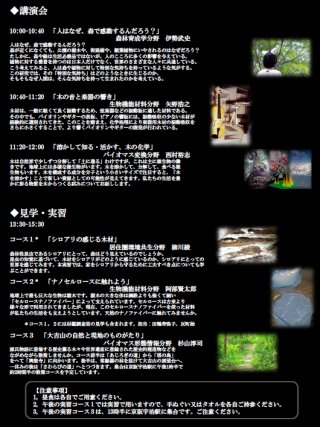 ちらし